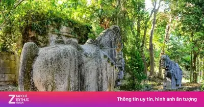 Bí ẩn ngôi đền cổ 400 năm ở Thanh Hóa sắp được khai quật khảo cổ