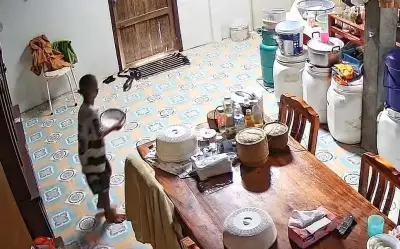 Bé trai hét toáng khi phát hiện rắn đen dài gần 2 mét trong bếp