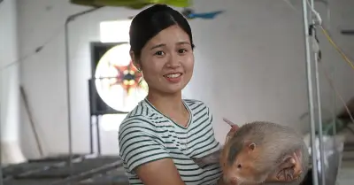 Bỏ việc về quê nuôi chuột không lỗ, cặp vợ chồng thu cả trăm triệu đồng mỗi năm