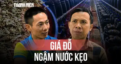 Bắc Ninh khởi tố 3 bị can sản xuất giá đỗ ngậm hóa chất 6-BAP