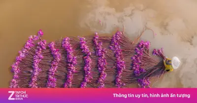 Bài thơ 'Tiếng nói Việt Nam' của nhà thơ Giang Nam được VOV thu âm năm 1990