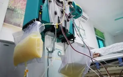 Cô gái 27 tuổi suýt chết vì máu đục như sữa do ăn đồ tiện lợi suốt một năm