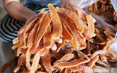 Đặc sản khoai deo Hải Ninh: Bí quyết làm nên thương hiệu vùng cát Quảng Trị
