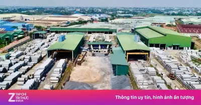 C32 đề nghị kiểm tra giao dịch cổ phiếu vì lo bị thâu tóm