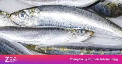 Cách chọn cá để giảm nguy cơ phơi nhiễm thủy ngân, tăng lợi ích sức khỏe