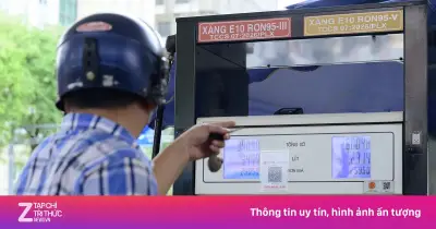 Cách kiểm tra xe có tương thích xăng E10 nhanh chóng và chính xác