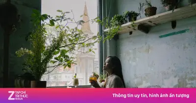 Chủ quán cà phê lo lắng về phí bản quyền âm nhạc từ tháng 7/2026