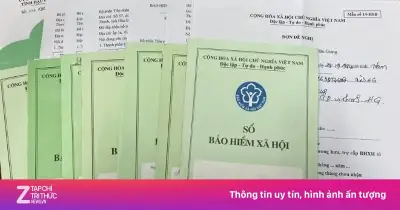 Chưa xem xét giảm năm đóng bảo hiểm xã hội xuống dưới 15 năm