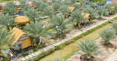Chàng trai miền Tây biến vườn chà là vùng biên thành điểm du lịch hấp dẫn