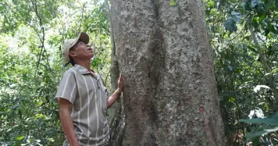 Chuyện giữ rừng, bảo vệ nguồn nước ở Hòn Cấm, Gia Lai