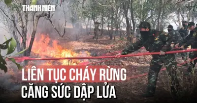 Cháy rừng liên tục ở Quảng Trị: Bộ đội, công an căng sức dập lửa