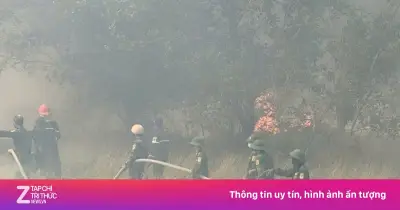 Cháy rừng liên tiếp ở Quảng Trị, hàng trăm người căng mình dập lửa