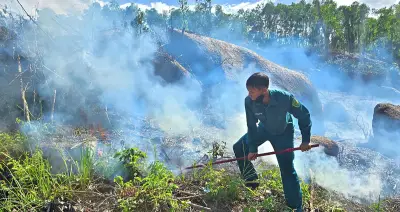 Cháy rừng ở Đà Nẵng, một người tử vong do ngạt khói