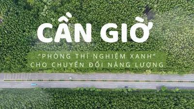 Cần Giờ: Phòng thí nghiệm xanh cho chuyển đổi năng lượng