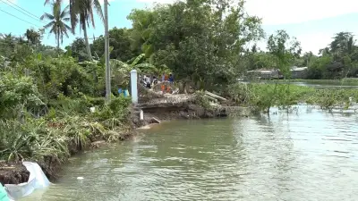 Cần Thơ thiệt hại nặng do sạt lở và dông lốc, khẩn trương ứng phó