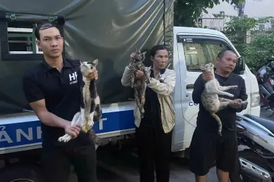 Công an TPHCM giải cứu 400 con mèo trong bãi xe ở Tây Ninh