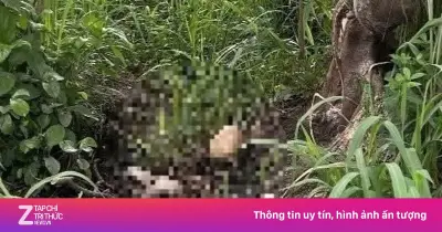 Công an TP.HCM kêu gọi cung cấp thông tin vụ bộ xương người trong khu đô thị ĐHQG