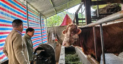 Công nghệ số giúp người dân vùng cao Thắng Mố thoát nghèo
