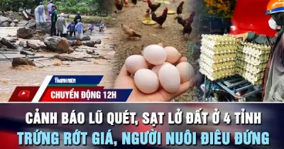 Cảnh báo lũ quét, sạt lở đất ở 4 tỉnh; trứng rớt giá, người nuôi điêu đứng