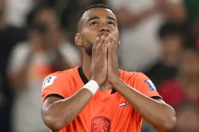 Cody Gakpo bật khóc sau bàn thắng vì mất con, Hà Lan chia tay World Cup 2026