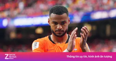 Cody Gakpo mất con khi dự World Cup 2026, vẫn ở lại cùng tuyển Hà Lan