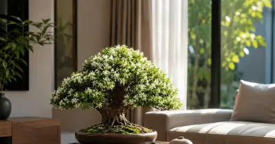Cây mai chiếu thủy: Ý nghĩa phong thủy, vị trí đặt và cách chăm sóc