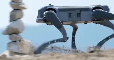 Doanh nghiệp Mỹ thuê nhà máy tại Bắc Ninh sản xuất chó robot