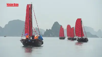 Du thuyền buồm nâu ra khơi trên vịnh Hạ Long, tái hiện văn hóa biển