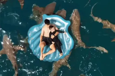 Duy Mạnh đưa vợ con đi Maldives ngắm cá mập, Văn Hậu xem BTS