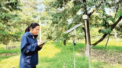 El Nino chính thức hình thành, dự báo mạnh lên nửa cuối năm 2026