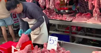 Giá heo hơi hôm nay 22/6/2026: Áp lực giảm giá đè nặng, chênh lệch vùng miền
