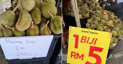 Giá sầu riêng Malaysia giảm còn 3.000 đồng/quả, nông dân lao đao