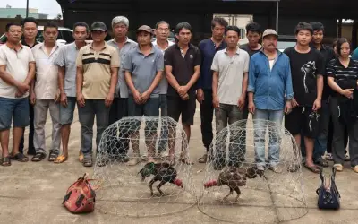 Gia Lai triệt phá tụ điểm đá gà ăn tiền, bắt 31 đối tượng