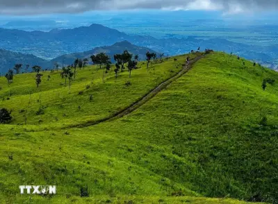 Gia Lai truy tìm nghi phạm liên quan vụ nổ súng làm một người tử vong