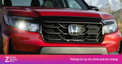 Gần 663.000 xe Honda có nguy cơ gãy treo sau vì rỉ sét tại Mỹ