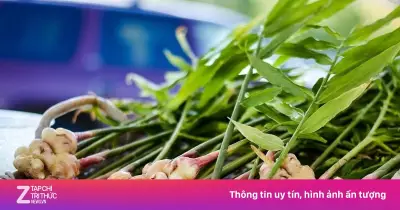 Gừng: 'Nhân sâm bình dân' với nhiều lợi ích sức khỏe bất ngờ