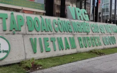 GVR nắm 96,77% vốn Nhà nước, vẫn giữ tư cách công ty đại chúng nhờ quy định chuyển tiếp