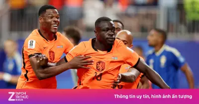 Hà Lan 2-0 Thụy Điển: Đại diện Bắc Âu mừng hụt tại World Cup 2026