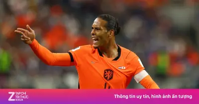 Hà Lan thắng Tunisia 2-0, Tunisia bị loại khỏi World Cup 2026