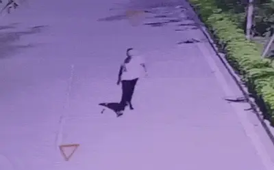 Hà Nội: Điều tra vụ hành hung tài xế, khách tại chung cư New Horizon