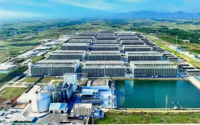 Hà Nội kỳ vọng công nghệ cao trong chăn nuôi lợn nhà cao tầng