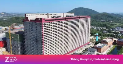 Hà Nội nghiên cứu tổ hợp chăn nuôi lợn cao tầng tại 3 xã