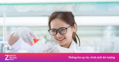 ĐH Tôn Đức Thắng tụt hơn 100 bậc trên bảng xếp hạng đại học thế giới 2027