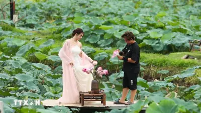 Hồ Tây ngát hương: Điểm đến của du khách mùa sen tháng Sáu