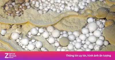 Hang Thắng ở Phong Nha - Kẻ Bàng: Hàng trăm ngọc động hiếm gặp khiến nhà thám hiểm sửng sốt