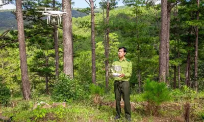 Hơn 20% diện tích rừng do xã quản lý: Khoảng trống thể chế và chất lượng thấp
