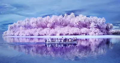 Hòn đảo kỳ lạ: Người dân gần như đều mù màu, bắt đầu từ năm 1775