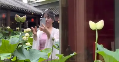 Hoa sen song sinh hiếm thấy nở trong quán trà, nhiều người tới chiêm ngưỡng