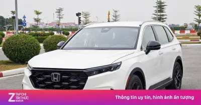 Honda Việt Nam xác nhận toàn bộ xe tương thích xăng E10