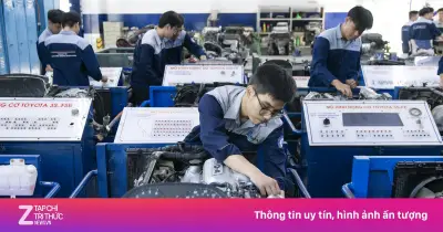 Điểm sàn đại học 2026: Sư phạm, Y khoa, Bán dẫn siết chặt đầu vào